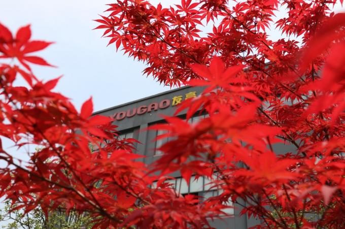 Κίνα Hefei Luox Yougao Technology Co., Ltd. Εταιρικό Προφίλ 2
